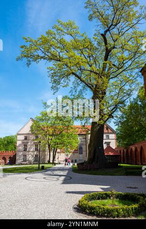 Frombork, Polen 30. April 2024 Besuch der alten Tonne von Frombork, Stadt des Astronomen Nicolaus Kopernikus, mit berühmter gotischer Kathedrale und Museum Stockfoto