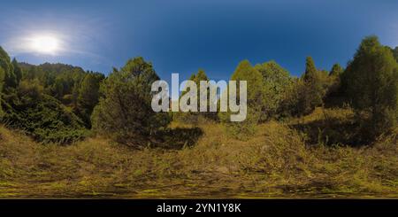 360 Grad Panorama Ansicht von Vollständiges kugelförmiges Panorama des wacholderarchawaldes am Berghang am sonnigen Herbsttag in gleicheckiger Projektion