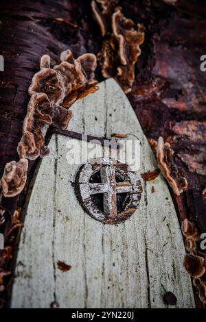 Feentür mit putenschwanzpilzen Stockfoto