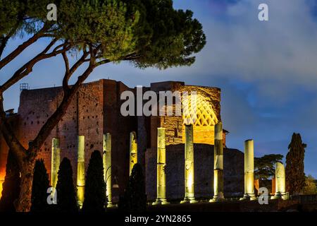 Ein Blick auf die antiken Säulen entlang der Via Sacra in Rom, Italien, mit den Ruinen der Basilika Maxentius im Hintergrund. Stockfoto