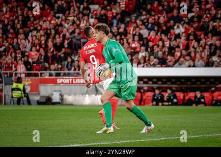 REKORDDATUM NICHT ANGEGEBEN Benfica x cf Amateurstar Lissabon pt, 11/23/2024 - SL Benfica Samstag 23. Diesen Samstag schlug Benfica den Amadora Star 7-0 in der vierten Runde des Portugiesischen Pokals. Foto: Isidro Gomes/ATO Press/IMAGO GERAL Benfica x cf Amateurstar Lissabon Copyright: XIsidroxGomesx Stockfoto