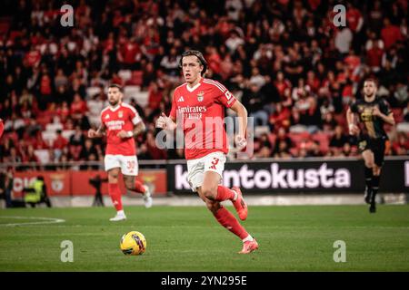 REKORDDATUM NICHT ANGEGEBEN Benfica x cf Amateurstar Lissabon pt, 11/23/2024 - SL Benfica Samstag 23. Diesen Samstag schlug Benfica den Amadora Star 7-0 in der vierten Runde des Portugiesischen Pokals. Foto: Isidro Gomes/ATO Press/IMAGO GERAL Benfica x cf Amateurstar Lissabon Copyright: XIsidroxGomesx Stockfoto