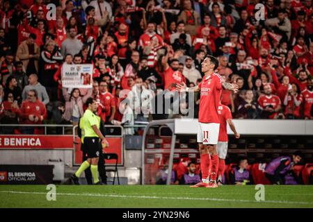 REKORDDATUM NICHT ANGEGEBEN Benfica x cf Amateurstar Lissabon pt, 11/23/2024 - SL Benfica Samstag 23. Diesen Samstag schlug Benfica den Amadora Star 7-0 in der vierten Runde des Portugiesischen Pokals. Foto: Isidro Gomes/ATO Press/IMAGO GERAL Benfica x cf Amateurstar Lissabon Copyright: XIsidroxGomesx Stockfoto