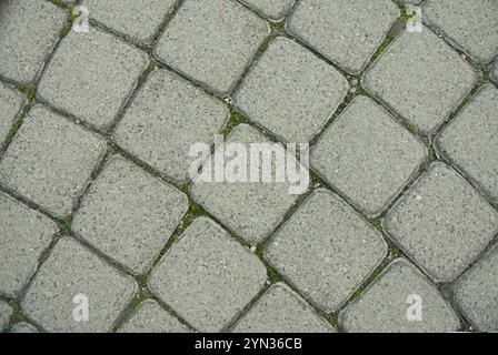 Strukturierter Pflastersteinpflaster mit Grün an den Nähten in urbaner Umgebung Stockfoto