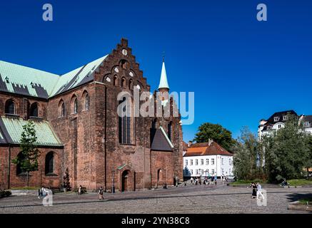 Blick auf das Halbdurchschnitt der Kathedrale von Aarhus Stockfoto