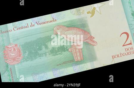 Rückseite der Venezuela 2 Bolivar-Banknote, die die Flagge Venezuelas mit einem Bild der Insel Cayo Sal im Hintergrund und einem Papagei mit gelbem Kopf auf A zeigt Stockfoto