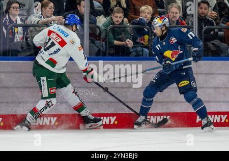 München, Deutschland. November 2024. Kampf um den Puck/Zweikampf zwischen Mick Koehler (Augsburger Panther, #11) und Markus Eisenschmid (EHC Red Bull Muenchen, #11). GER, EHC Red Bull München vs. Augsburger Panther, Eishockey, DEL, 19. Spieltag, Saison 2024/2025, 23.11.2024. Foto: Eibner-Pressefoto/Heike feiner Credit: dpa/Alamy Live News Stockfoto