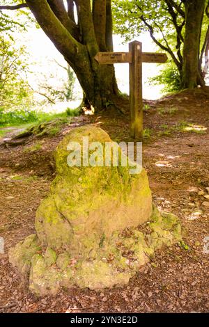 Großbritannien, England, Somerset, Quantocks, Triscombe Stone Stockfoto