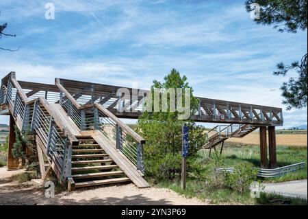 Viana, Spanien - 26. Mai 2024: Die hölzerne Fußgängerbrücke, die über die N-111 zwischen Viana und Logrono Spanien führt. Es ist Teil des Camino. Stockfoto