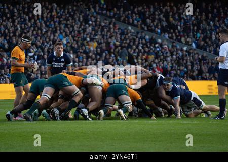 Edinburgh, Großbritannien. November 2024. In Aktion während des Autumn Internationals Rugby-Spiels zwischen Schottland und Australien im Scottish Gas Murrayfield Stadium in Edinburgh, Schottland Credit: Samuel Wardle/Alamy Live News Stockfoto