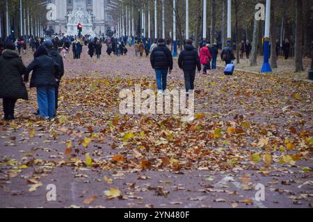 24. November 2024, London, England, Großbritannien: Die Menschen laufen entlang der Mall, die mit gefallenen Blättern bedeckt ist, während Storm Bert starke Winde in die Hauptstadt bringt. (Kreditbild: © Vuk Valcic/ZUMA Press Wire) NUR REDAKTIONELLE VERWENDUNG! Nicht für kommerzielle ZWECKE! Stockfoto