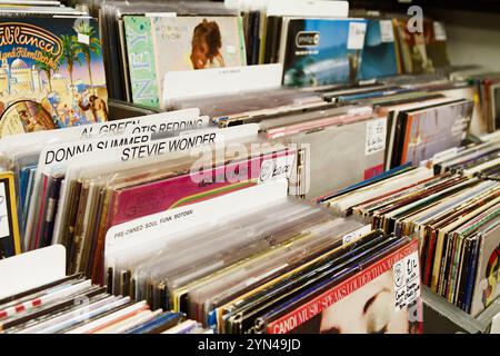 Sammlung gebrauchter Second Hand-LP-Album Vinyl Records in Racks for Sale in A Record Shop, Poole, UK. Liebhaber Klassischer Musik Stockfoto