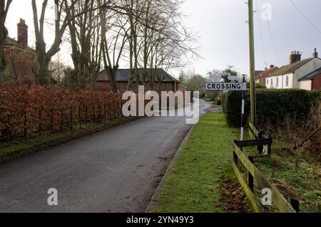 Entenüberquerung über die Straße in Ludham Village, Norfolk, Broads National Park Stockfoto