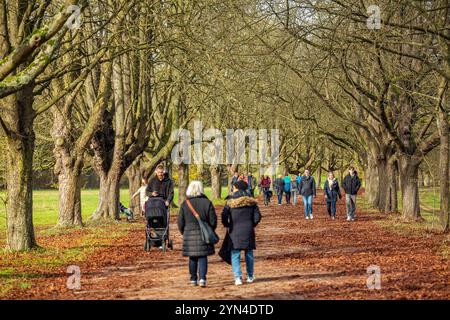 Spaziergänger und Ausflügler nutzen die warmen Temepraturen am Totensonntag für einen Spaziergang rund um den Decksteiner Weiher in Köln NRW Herbstimpressionen *** Wanderer und Tagesausflügler nutzen die warmen Temperaturen am Totensonntag für einen Spaziergang rund um den Decksteiner Weiher in Köln NRW Herbsteindrücke Stockfoto