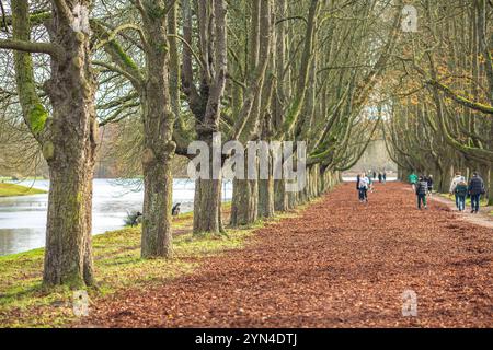 Spaziergänger und Ausflügler nutzen die warmen Temepraturen am Totensonntag für einen Spaziergang rund um den Decksteiner Weiher in Köln NRW Herbstimpressionen *** Wanderer und Tagesausflügler nutzen die warmen Temperaturen am Totensonntag für einen Spaziergang rund um den Decksteiner Weiher in Köln NRW Herbsteindrücke Stockfoto