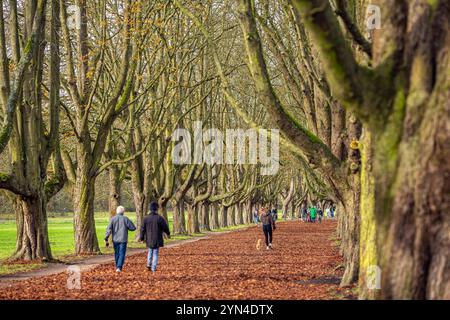 Spaziergänger und Ausflügler nutzen die warmen Temepraturen am Totensonntag für einen Spaziergang rund um den Decksteiner Weiher in Köln NRW Herbstimpressionen *** Wanderer und Tagesausflügler nutzen die warmen Temperaturen am Totensonntag für einen Spaziergang rund um den Decksteiner Weiher in Köln NRW Herbsteindrücke Stockfoto