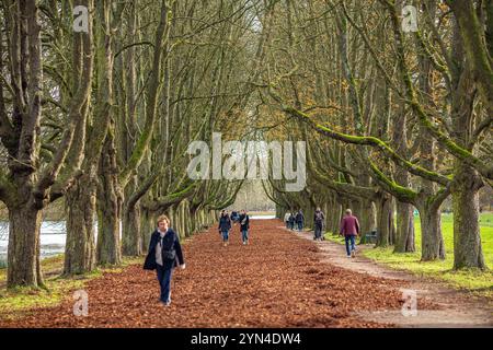 Spaziergänger und Ausflügler nutzen die warmen Temepraturen am Totensonntag für einen Spaziergang rund um den Decksteiner Weiher in Köln NRW Herbstimpressionen *** Wanderer und Tagesausflügler nutzen die warmen Temperaturen am Totensonntag für einen Spaziergang rund um den Decksteiner Weiher in Köln NRW Herbsteindrücke Stockfoto