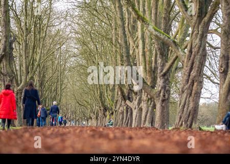 Spaziergänger und Ausflügler nutzen die warmen Temepraturen am Totensonntag für einen Spaziergang rund um den Decksteiner Weiher in Köln NRW Herbstimpressionen *** Wanderer und Tagesausflügler nutzen die warmen Temperaturen am Totensonntag für einen Spaziergang rund um den Decksteiner Weiher in Köln NRW Herbsteindrücke Stockfoto