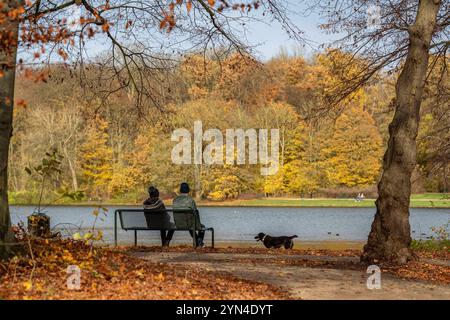 Spaziergänger und Ausflügler nutzen die warmen Temepraturen am Totensonntag für einen Spaziergang rund um den Decksteiner Weiher in Köln NRW Herbstimpressionen *** Wanderer und Tagesausflügler nutzen die warmen Temperaturen am Totensonntag für einen Spaziergang rund um den Decksteiner Weiher in Köln NRW Herbsteindrücke Stockfoto