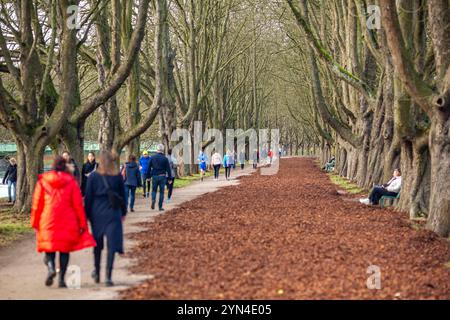 Spaziergänger und Ausflügler nutzen die warmen Temepraturen am Totensonntag für einen Spaziergang rund um den Decksteiner Weiher in Köln NRW Herbstimpressionen *** Wanderer und Tagesausflügler nutzen die warmen Temperaturen am Totensonntag für einen Spaziergang rund um den Decksteiner Weiher in Köln NRW Herbsteindrücke Stockfoto