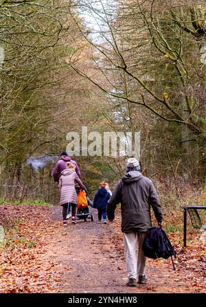 Dundee, Tayside, Schottland, Großbritannien. November 2024. Großbritannien Wetter: Nachdem Sturm Bert Dundee mit Schnee, Schneeregen und starkem Wind getroffen hatte, war das Wetter geklärt und wurde hell und mild. Die Einheimischen genossen einen Sonntagsspaziergang durch die Templeton Woods in Schottland. Quelle: Dundee Photographics/Alamy Live News Stockfoto