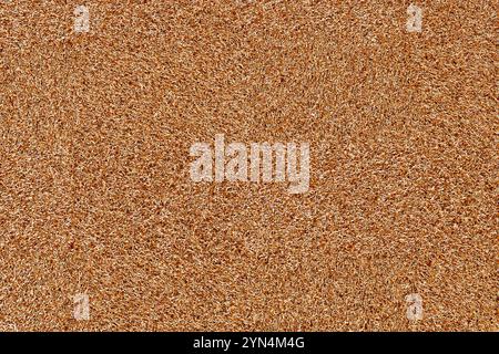 Gold Grunge Schwamm oder Klettverschluss Textur Hintergrund extreme Nahaufnahme. 3D-Rendering Stockfoto