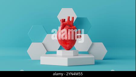 Menschliche Herzanatomie Inneres Organ auf einem Podium auf blauem Hintergrund. 3D-Rendering Stockfoto