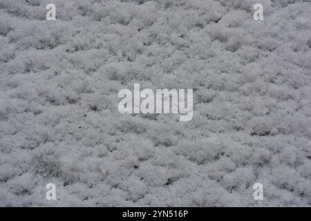 Wunderschönes Winterwetter, frostige Schwelle, Winter, ungewöhnlicher Schnee Hintergrund. Weiße, flauschige Schneeschichten liegen auf Holzbrettern, Holzoberfläche. Stockfoto