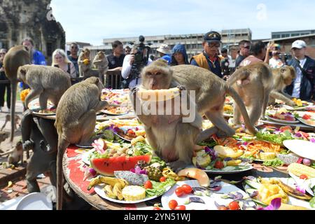 Lopburi, Thailand. November 2024. Affen essen Obst und Gemüse während des Festes der 36. Affenparty im Pra Prang Sam Yot Tempel in der Stadt Lopburi in der Provinz Lopburi, Thailand, 24. November 2024. Quelle: Rachen Sageamsak/Xinhua/Alamy Live News Stockfoto