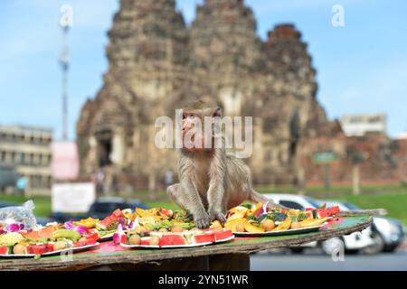 Lopburi, Thailand. November 2024. Ein Affe isst Obst und Gemüse während des Festes der 36. Affenparty im Pra Prang Sam Yot Tempel in der Stadt Lopburi in der Provinz Lopburi, Thailand, 24. November 2024. Quelle: Rachen Sageamsak/Xinhua/Alamy Live News Stockfoto