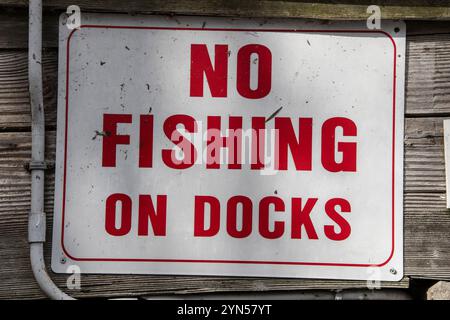 Kein Angeln auf Docks Schild an Bluffer's Park Marina an der Brimley Road South in Scarborough, Toronto, Ontario, Kanada Stockfoto