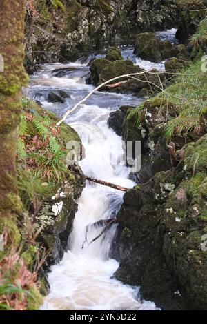 Wood of Cree, Wasserfälle in einem Waldgebiet, das von der RSPB in der Nähe von Newton Stewart Galloway Schottland verwaltet wird - Foto November 2024 Stockfoto