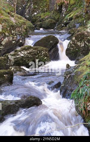 Wood of Cree, Wasserfälle in einem Waldgebiet, das von der RSPB in der Nähe von Newton Stewart Galloway Schottland verwaltet wird - Foto November 2024 Stockfoto