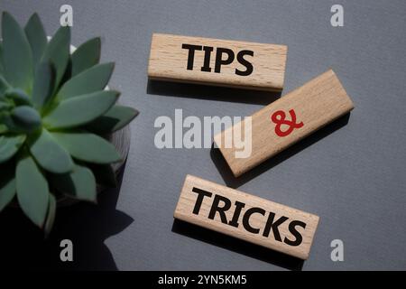 Symbol für Tipps und Tricks. Holzblöcke mit Worten Tipps und Tricks. Schöner grauer Hintergrund mit saftiger Pflanze. Geschäftskonzept und Tipps und Tricks Stockfoto