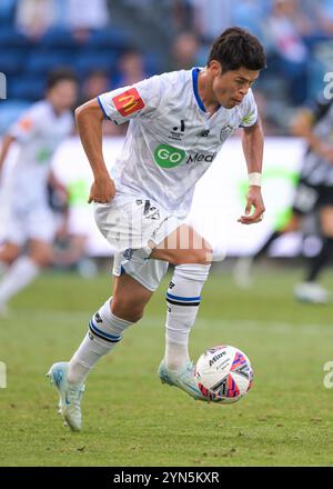 Paddington, Australien. November 2024. Hiroki Sakai vom Auckland FC wurde während des fünften Runde-Spiels der Isuzu UTE A-League 2024-25 zwischen Macarthur FC und Auckland FC im Allianz Stadium in Paddington, NSW, in Aktion genommen. Endstand Auckland FC 1:0 Macarthur FC. Quelle: SOPA Images Limited/Alamy Live News Stockfoto