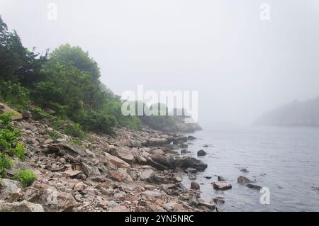 Die nebelige Küste im Fort Wetherill State Park in Jamestown, Rhode Island. Stockfoto
