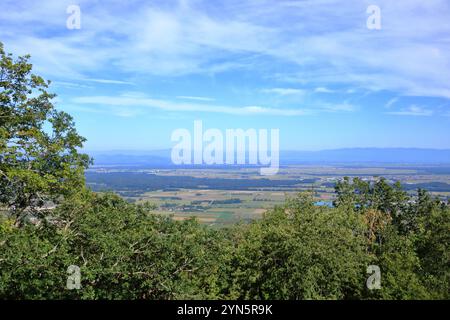 Ein Blick aus der Vogelperspektive auf das Elsass-Fruchttal bei Colmar in Frankreich Stockfoto