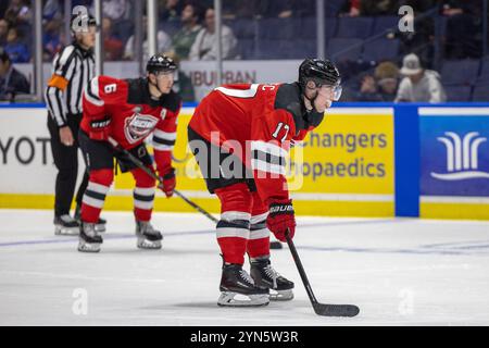 Rochester, New York, USA. November 2024. Utica Comets Verteidiger Simon Nemec (17) skatet in der dritten Periode gegen die Rochester-Amerikaner. Die Rochester Americans veranstalteten die Utica Comets in einem Spiel der American Hockey League in der Blue Cross Arena in Rochester, New York. (Jonathan Tenca/CSM). Quelle: csm/Alamy Live News Stockfoto