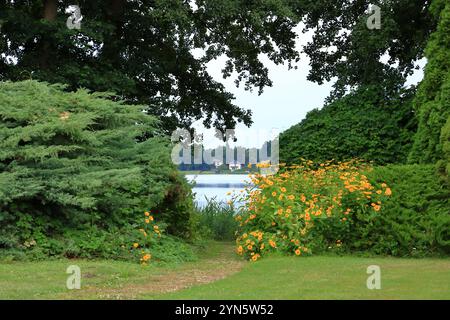 Ufergebiet mit Schilf an einem kleinen See in Wandlitz, Brandenburg in Deutschland Stockfoto