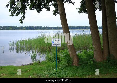 Ufergebiet mit Schilf an einem kleinen See in Wandlitz, Brandenburg in Deutschland Stockfoto