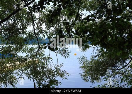 Ufergebiet mit Schilf an einem kleinen See in Wandlitz, Brandenburg in Deutschland Stockfoto