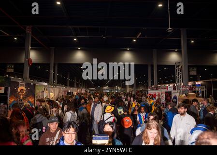 Utrecht, Utrecht, Niederlande. November 2024. Tausende von Fans besuchen die Heroes Dutch Comic Con Jaarbeurs, Utrecht. Die größte Comic-Con der Niederlande - Heroes Dutch Comic Con - feiert ihr 10-jähriges Jubiläum während der Winterausgabe 2024. (Kreditbild: © James Petermeier/ZUMA Press Wire) NUR REDAKTIONELLE VERWENDUNG! Nicht für kommerzielle ZWECKE! Stockfoto