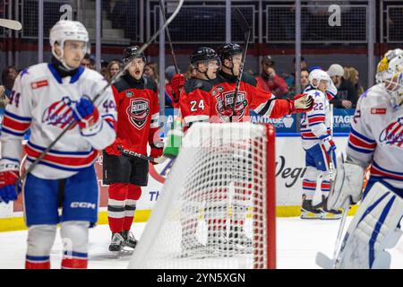 Rochester, New York, USA. November 2024. Die Spieler der Utica Comets feiern in der ersten Periode ein Tor gegen die Rochester-Amerikaner. Die Rochester Americans veranstalteten die Utica Comets in einem Spiel der American Hockey League in der Blue Cross Arena in Rochester, New York. (Jonathan Tenca/CSM). Quelle: csm/Alamy Live News Stockfoto