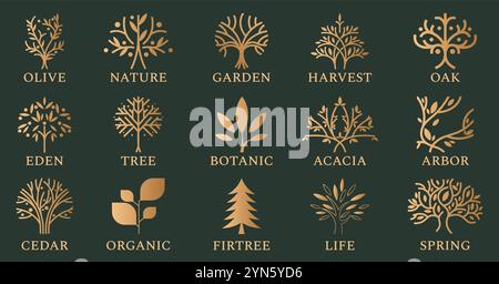 Baumsymbole. Lebenssymbol aus Olive, Eiche oder Fichte, kreisförmige Goldzweige und Blätter, Kollektion mit Bio-Linien. Botanische Silhouette, Weinmarke. Goldener Mo Stock Vektor