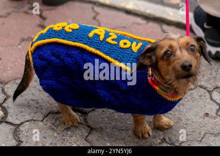 Kiew, Kiew-Stadt, Ukraine. November 2024. Hund im Freien Azovstal gesehen Protest von Familie und Freunden von Soldaten, die von Russland in Gefangenschaft gehalten werden. Am 20. Mai 2022 ergaben sich die Soldaten Russland, um Leben in der Asovstaler Eisenhütte zu retten und die Werke von Mariupol zu stehlen. Einige wurden freigelassen, viele befinden sich noch immer in russischer Gefangenschaft. (Kreditbild: © Andreas Stroh/ZUMA Press Wire) NUR REDAKTIONELLE VERWENDUNG! Nicht für kommerzielle ZWECKE! Quelle: ZUMA Press, Inc./Alamy Live News Stockfoto