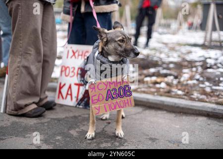 Kiew, Kiew-Stadt, Ukraine. November 2024. Hund im Freien Azovstal gesehen Protest von Familie und Freunden von Soldaten, die von Russland in Gefangenschaft gehalten werden. Am 20. Mai 2022 ergaben sich die Soldaten Russland, um Leben in der Asovstaler Eisenhütte zu retten und die Werke von Mariupol zu stehlen. Einige wurden freigelassen, viele befinden sich noch immer in russischer Gefangenschaft. (Kreditbild: © Andreas Stroh/ZUMA Press Wire) NUR REDAKTIONELLE VERWENDUNG! Nicht für kommerzielle ZWECKE! Quelle: ZUMA Press, Inc./Alamy Live News Stockfoto