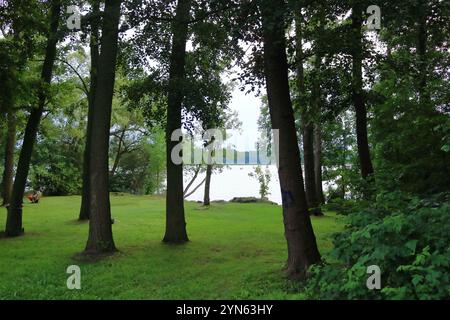 Wandlitz, Brandenburg, Deutschland - 26. Juli 2024: Die Menschen genießen das Ufergebiet mit Schilf an einem kleinen See Stockfoto