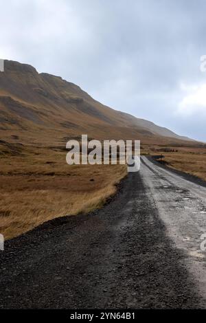 Schwarze vulkanische Schotterstraße einen Hügel hinauf, gesäumt von Wiesen mit gelbem Herbstgras. Nass nach Regen. Bewölkter Himmel. Hvammsvik, West Island. Stockfoto