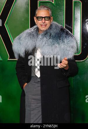 London, Großbritannien. November 2024. Jeff Goldblum nimmt an der britischen Premiere von „Wicked“ in der Royal Festival Hall in London Teil. (Foto: Mario Mitsis/SOPA Images/SIPA USA) Credit: SIPA USA/Alamy Live News Stockfoto