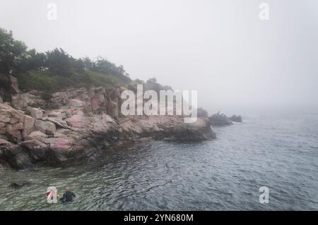 Die nebelige Küste im Fort Wetherill State Park in Jamestown, Rhode Island. Stockfoto